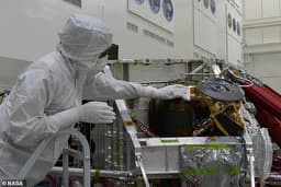 Грибок Aspergillus calidoustus может выжить на Марсе: исследование NASA